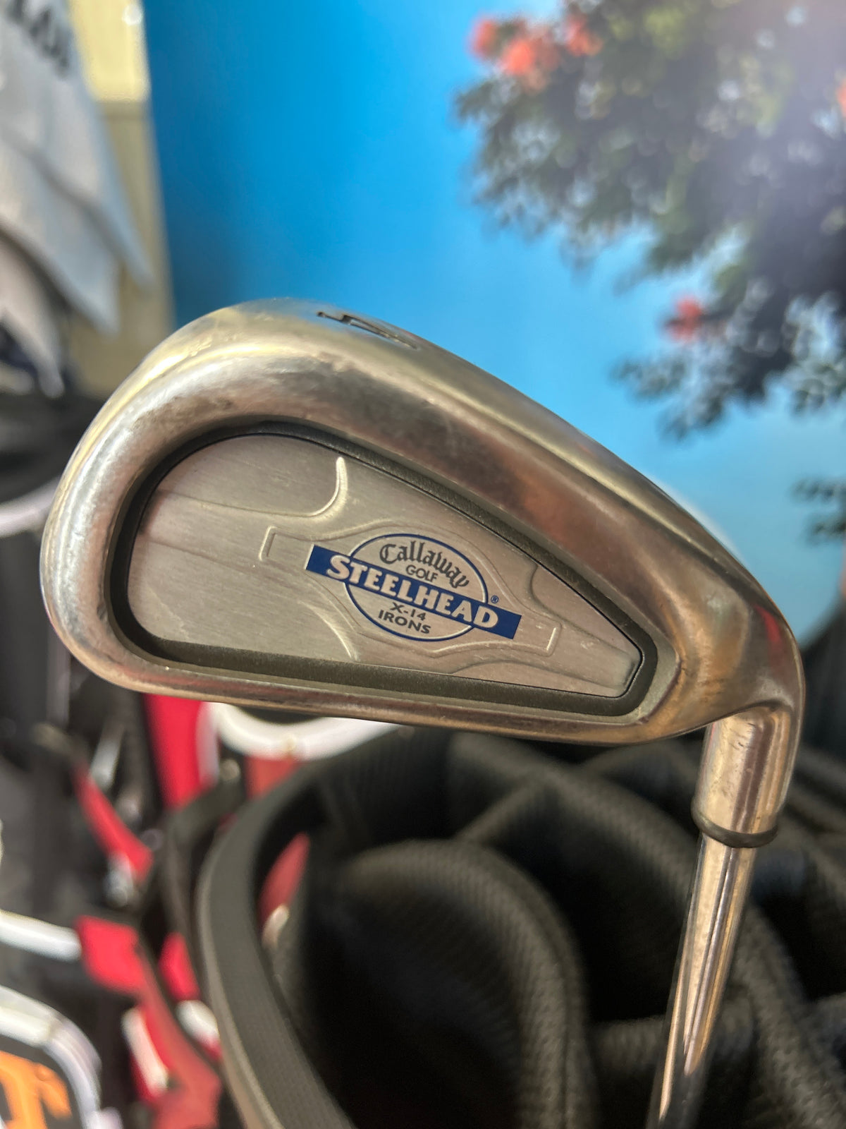 Callaway Steelhead X-14 4–PW iron set with True Temper Dynamic Gold R300 steel shafts.