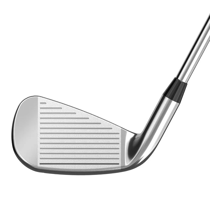 New Northwestern Iron Set (6,7,8,9,10, W)