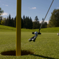 Phone Mounted Golf Alignment Sticks - Scratch Stick
